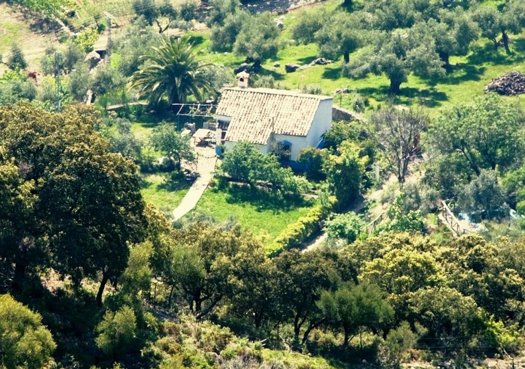Photo of Outdoor in Grazalema