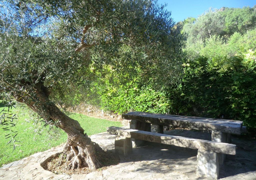 Photo of Others in Grazalema