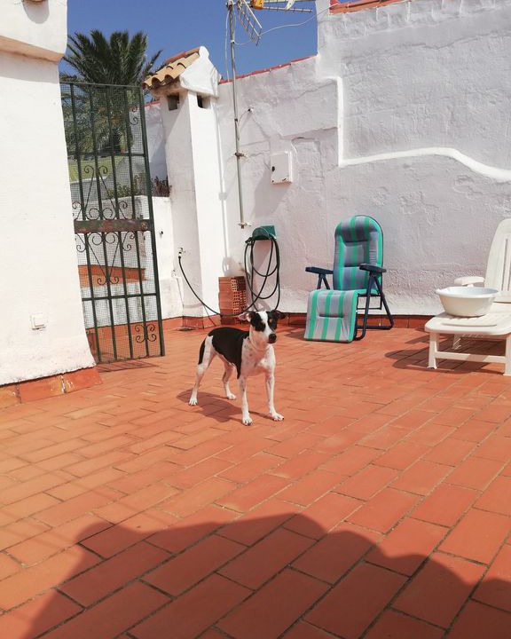 Photo of Patio Balcony in Marina de Casares