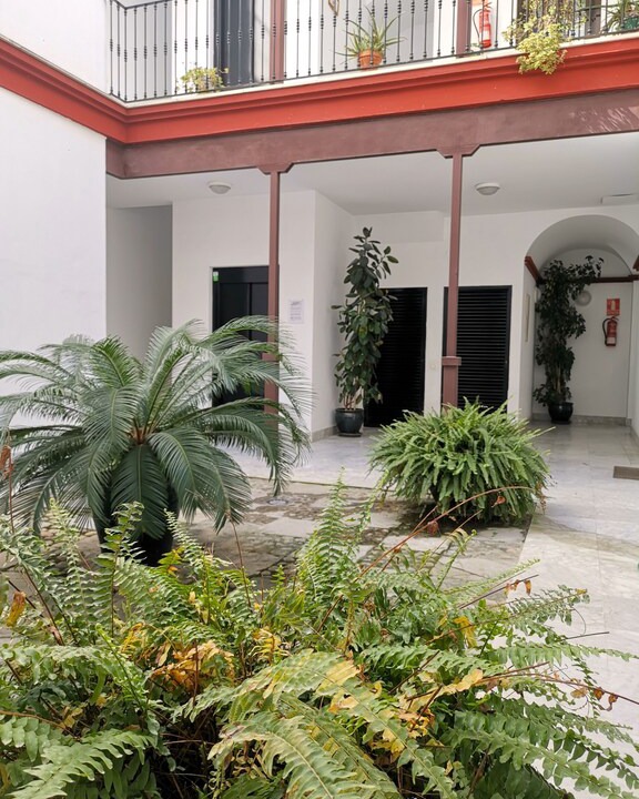 Photo of Buildings in San Lorenzo