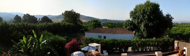 Photo of Others in San Martin del Tesorillo