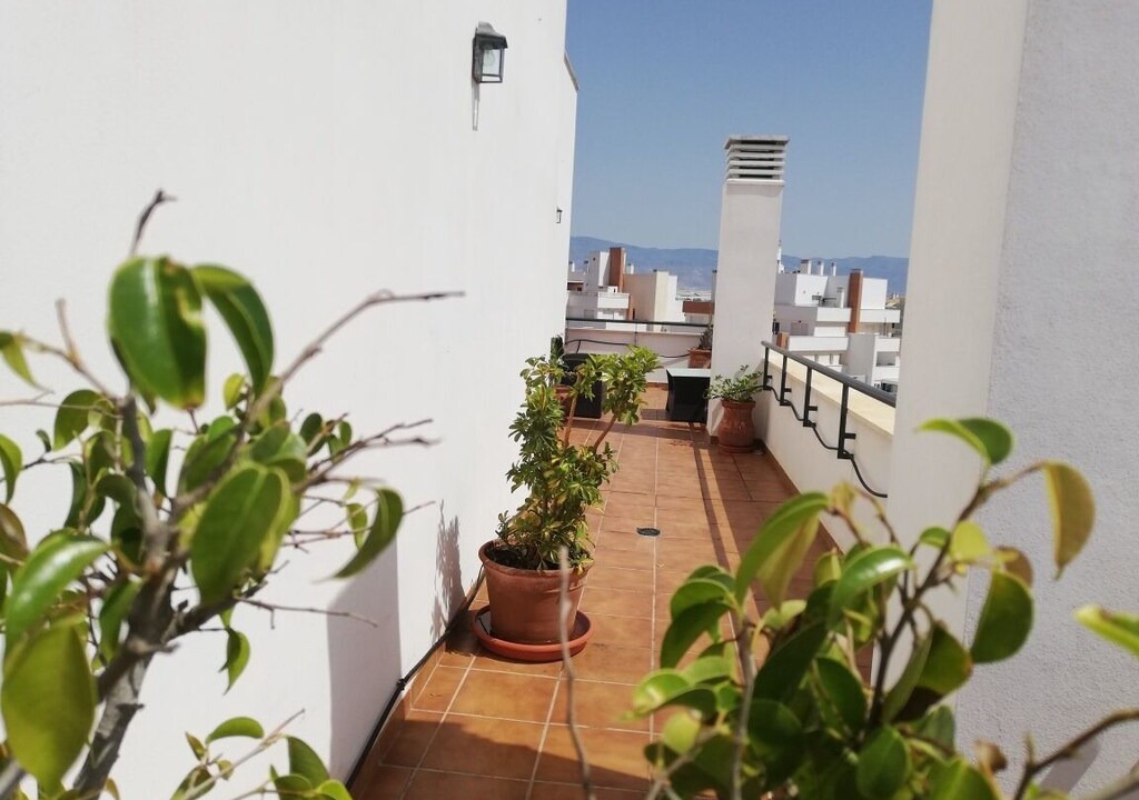 Photo of Others in Roquetas de Mar
