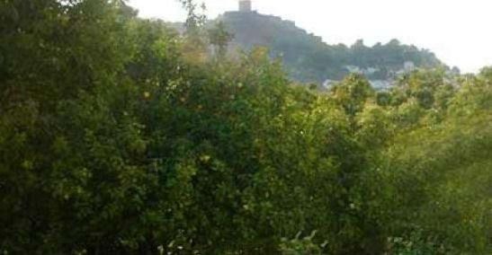 Photo of Outdoor in Jimena de la Frontera