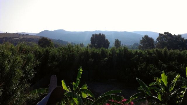 Photo of Outdoor in San Martin del Tesorillo