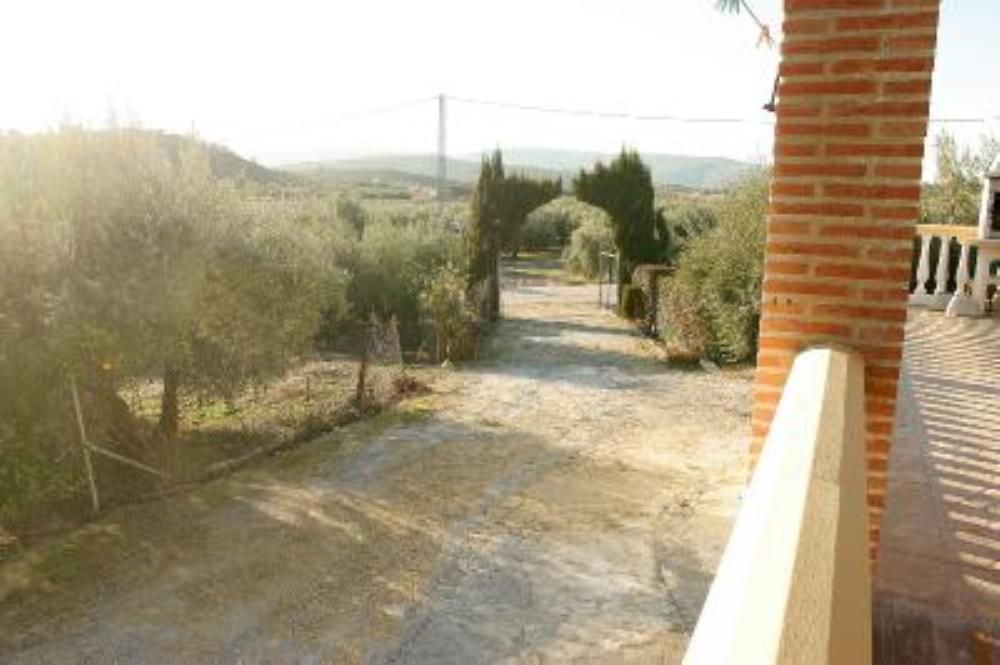 Photo of Others in Luque