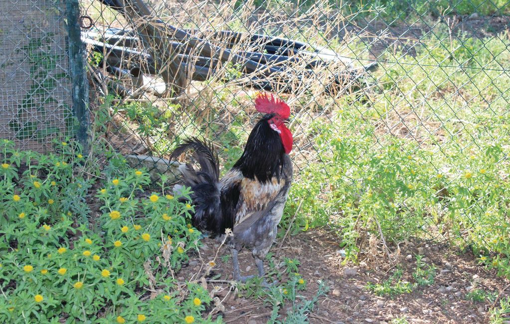 Photo of Others in Hornachuelos