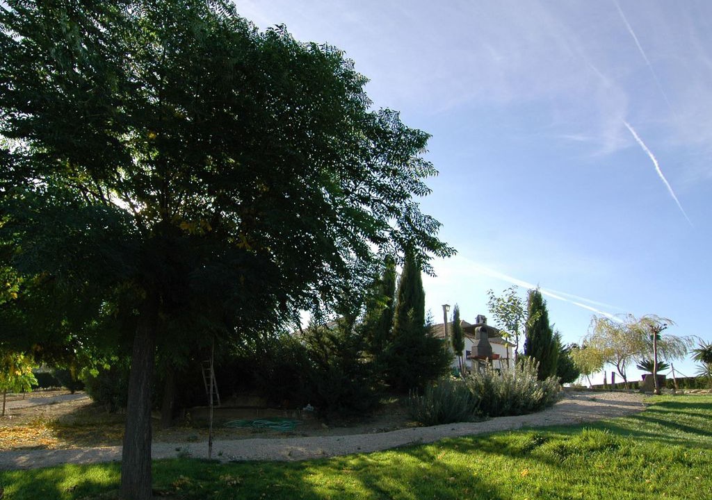 Photo of Others in Santaella