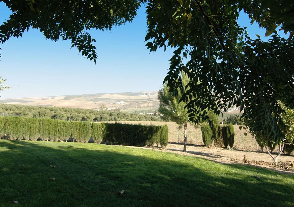 Photo of Buildings in Santaella