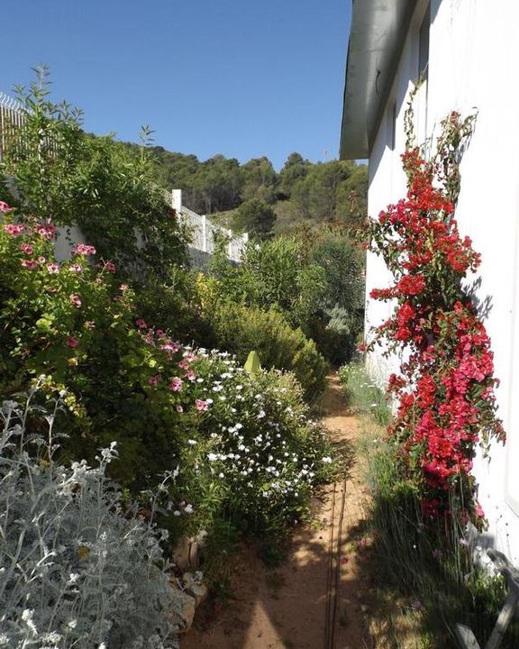 Photo of Others in Pinos de Alhaurin