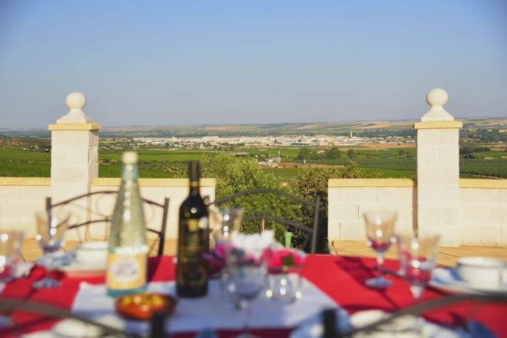 Photo of Patio Balcony in Lora Del Rio