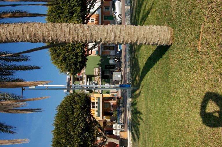 Photo of Others in Playas del Palo