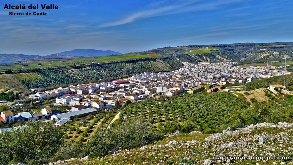 Photo of Outdoor in Alcala del Valle