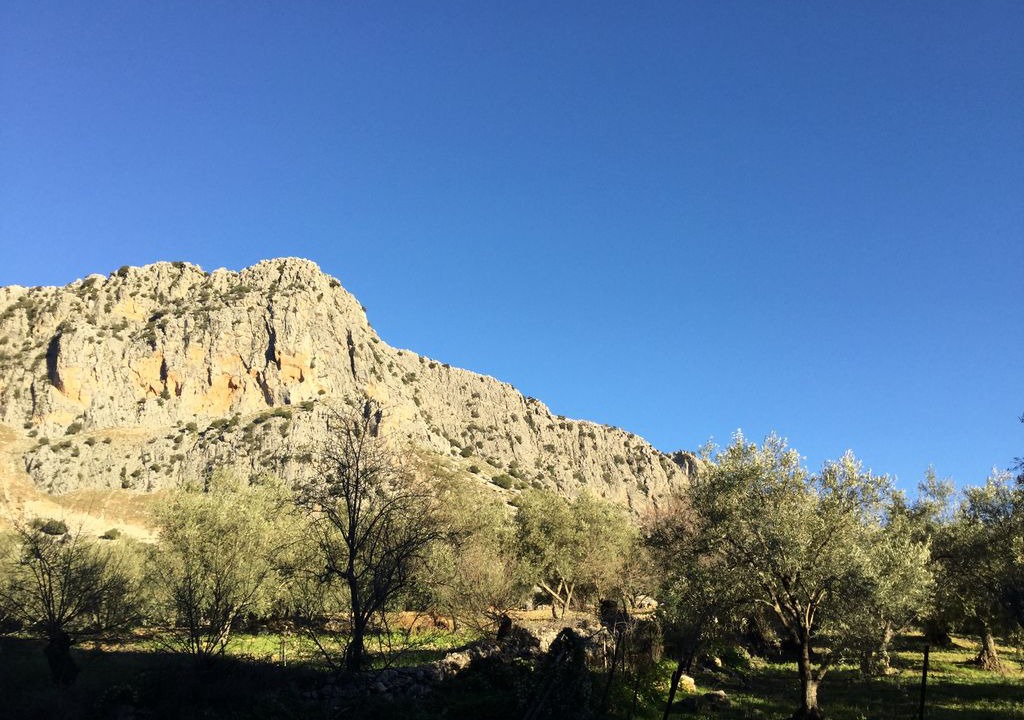 Photo of Others in Montejaque