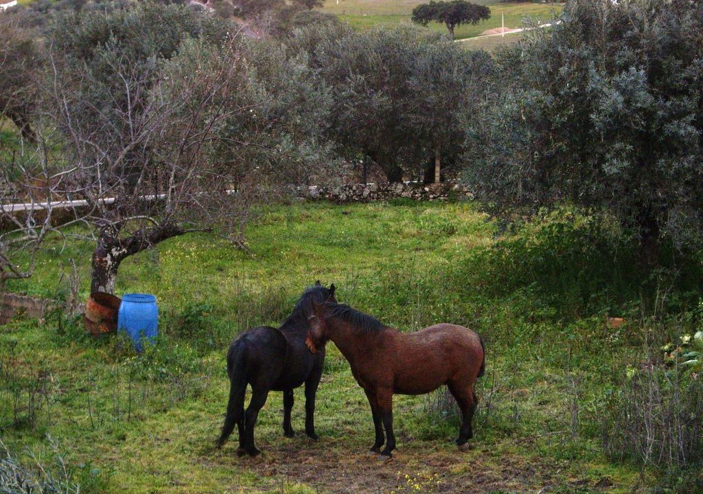 Photo of Others in La Acena de la Borrega