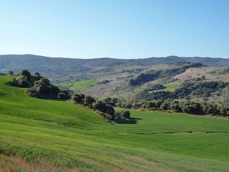 Photo of Outdoor in Grazalema