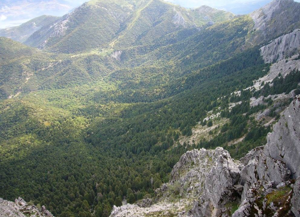 Photo of Outdoor in Grazalema