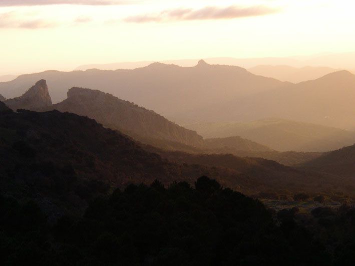 Photo of Others in Grazalema