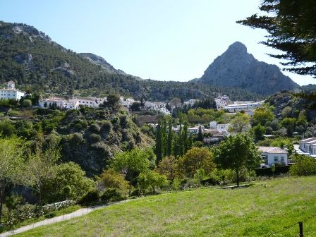 Photo of Others in Grazalema