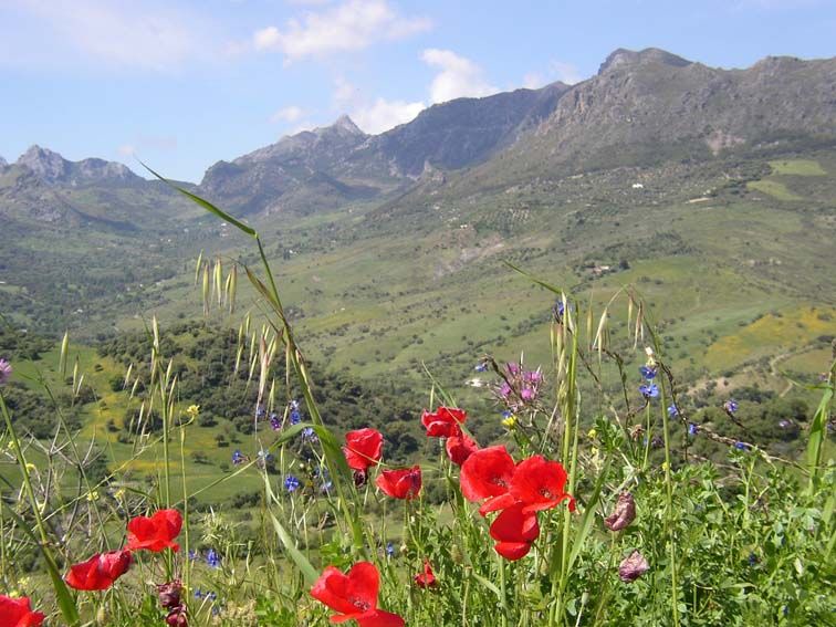 Photo of Outdoor in Grazalema