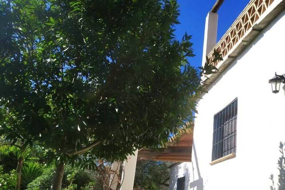 Photo of Outdoor in Orgiva