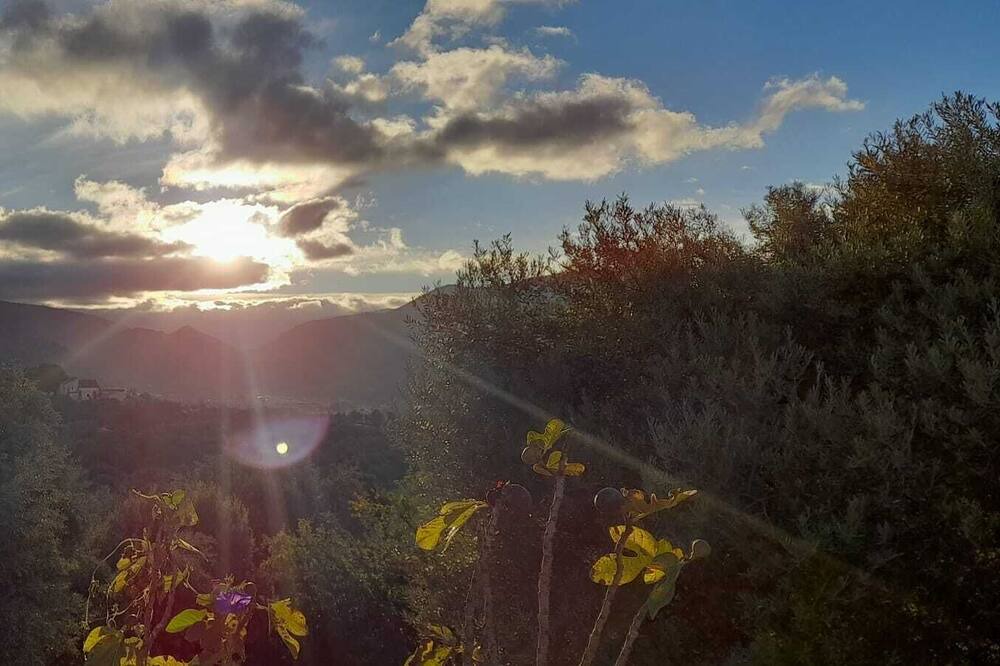 Photo of Outdoor in Orgiva