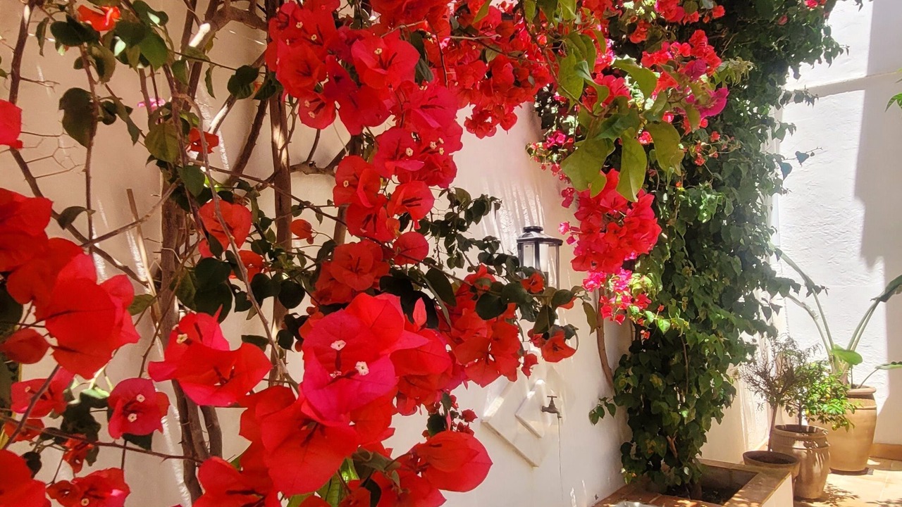 Photo of Outdoor in Sanlucar de Barrameda