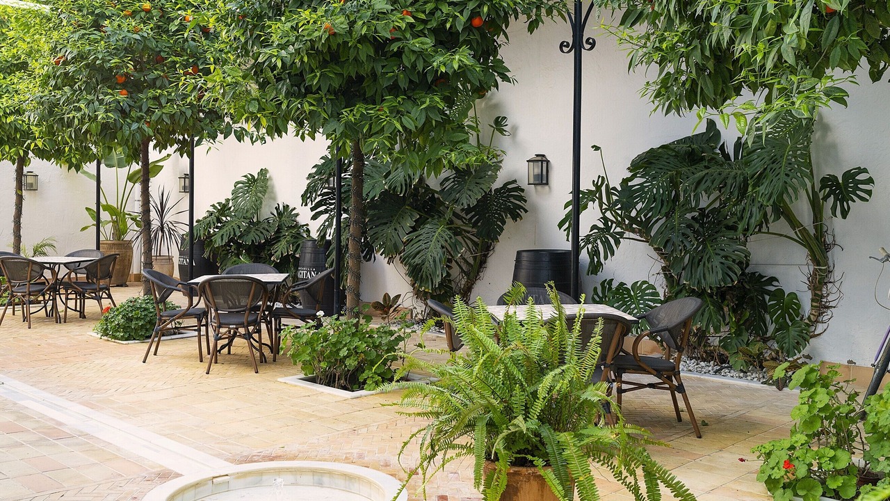 Photo of Outdoor in Sanlucar de Barrameda