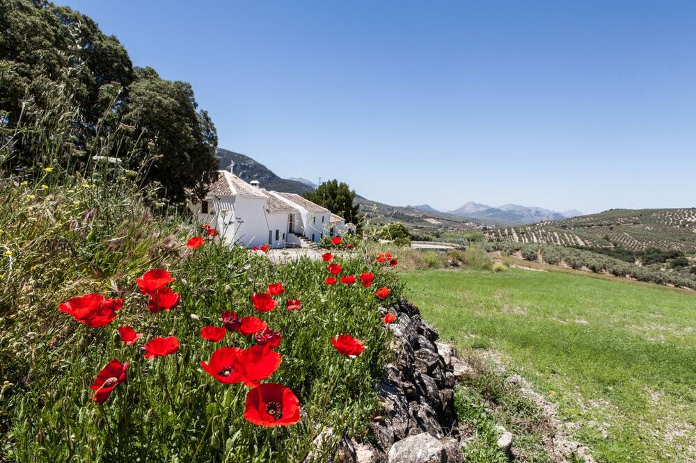 Photo of Outdoor in Villanueva del Trabuco