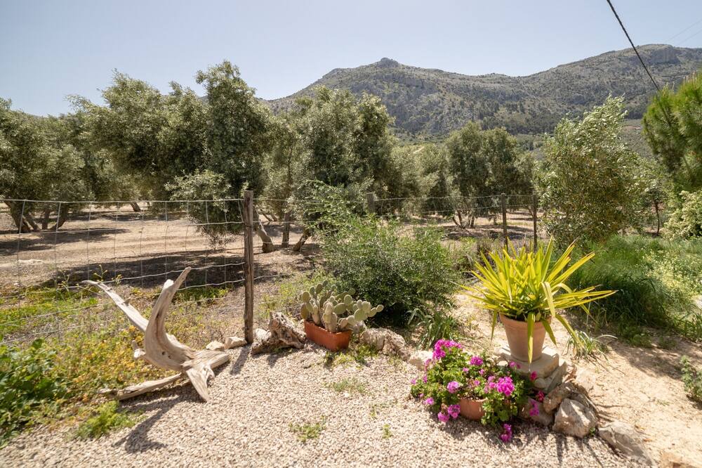 Photo of Outdoor in Villanueva del Trabuco