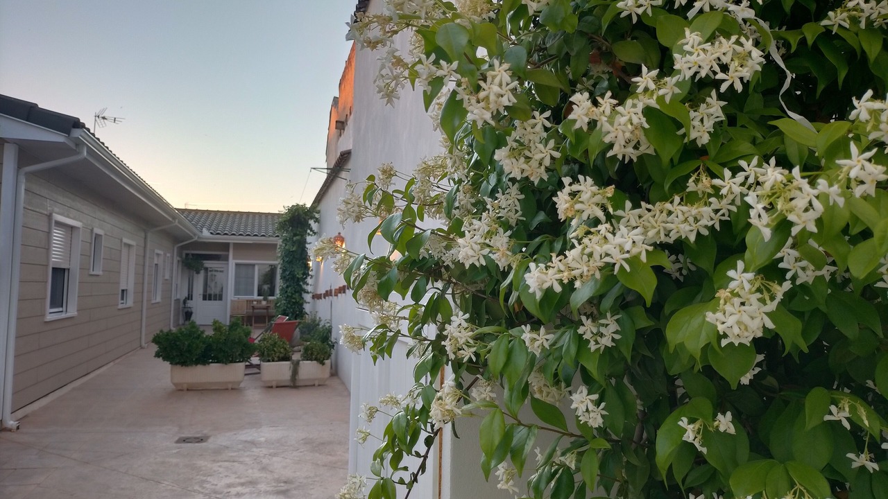 Photo of Patio Balcony in Consuegra