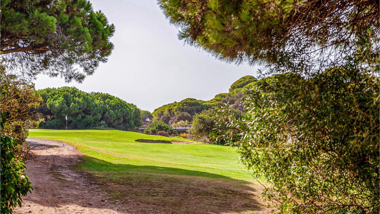 Photo of Outdoor in Nuevo Portil