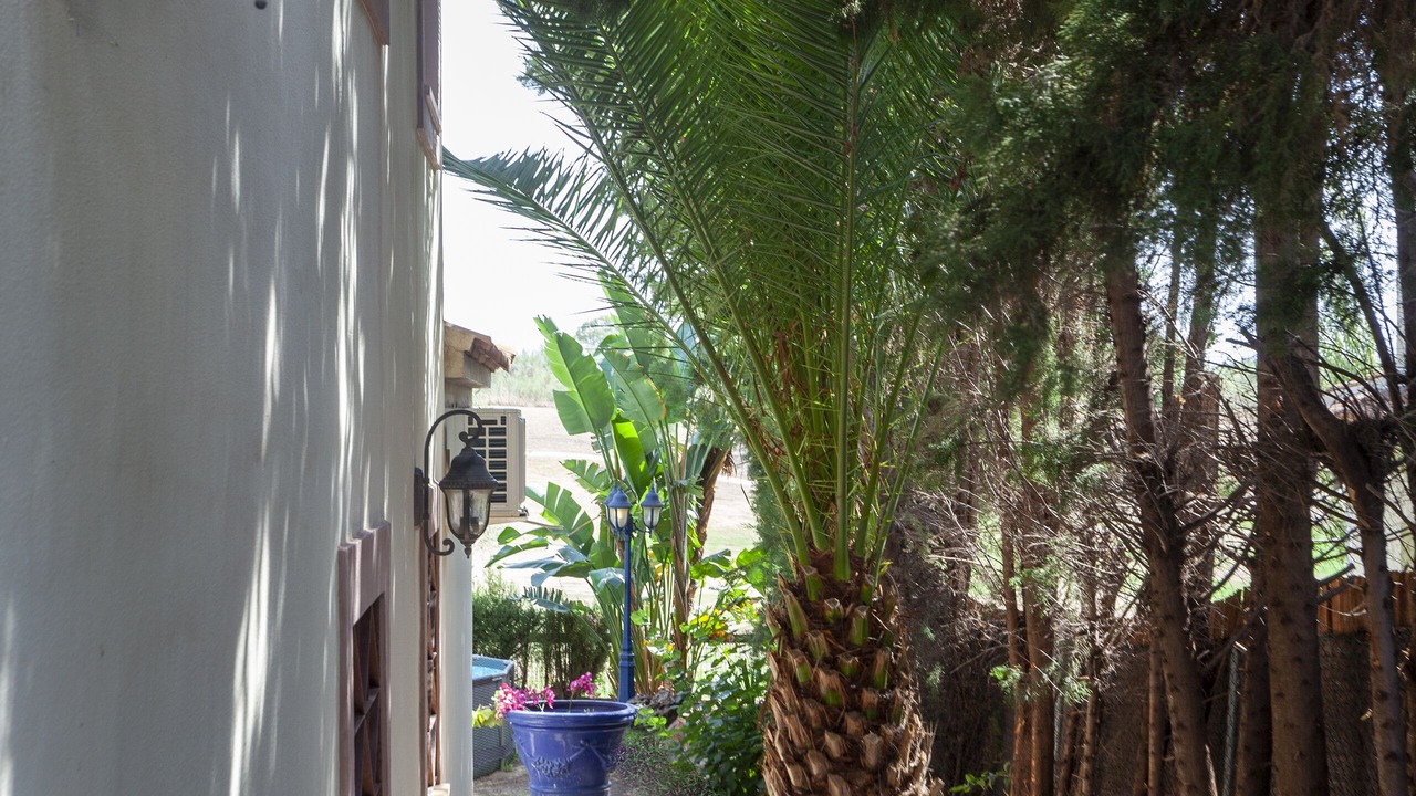 Photo of Outdoor in Las Pajanosas