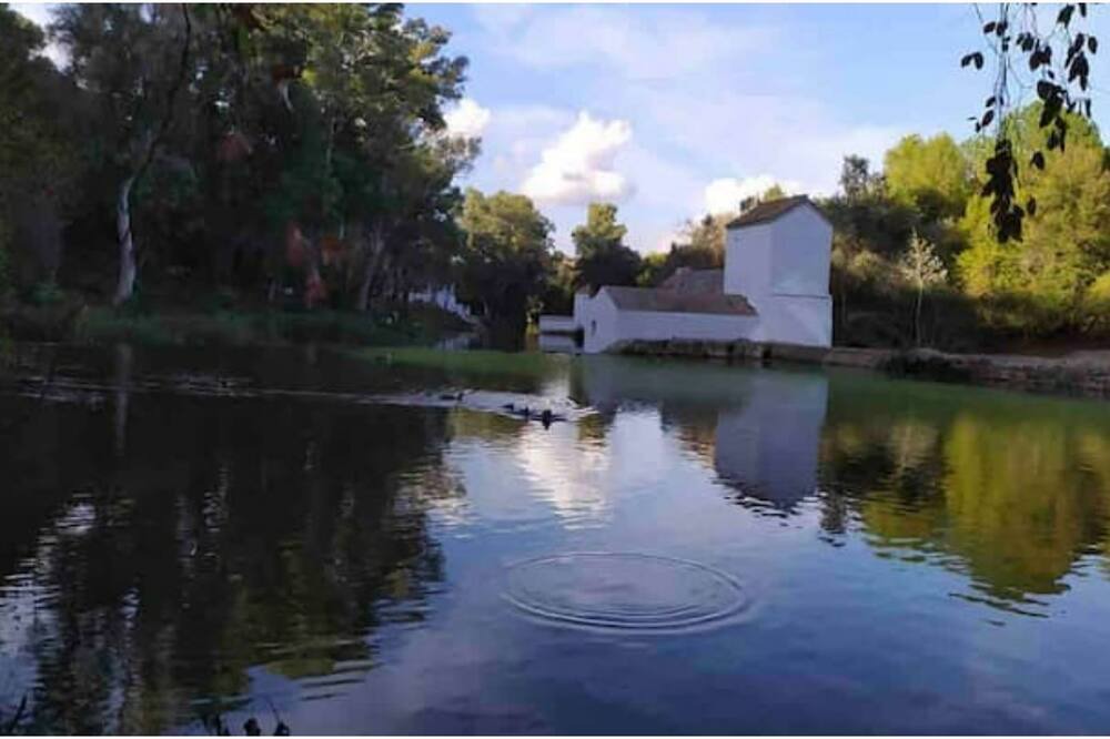 Photo of Outdoor in Alcala de Guadaira