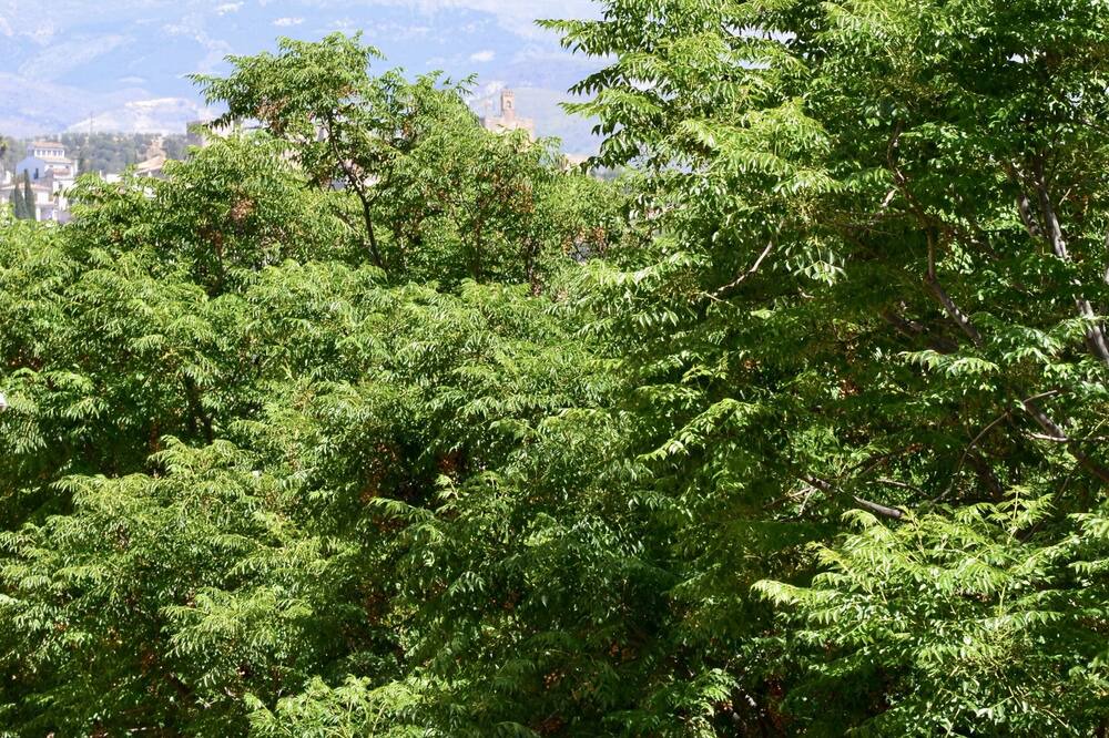 Photo of Outdoor in Beiro