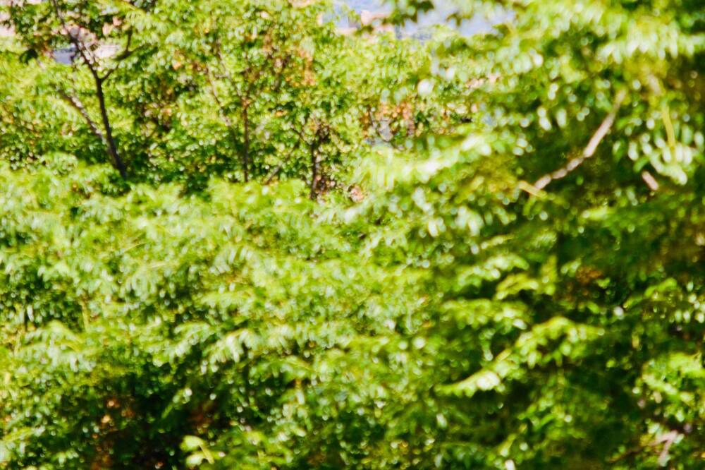 Photo of Outdoor in Beiro