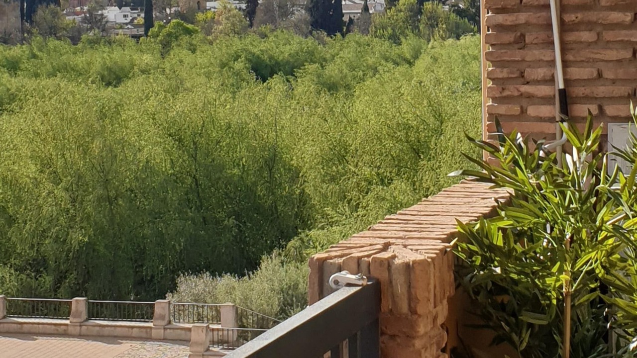 Photo of Outdoor in Distrito Sur
