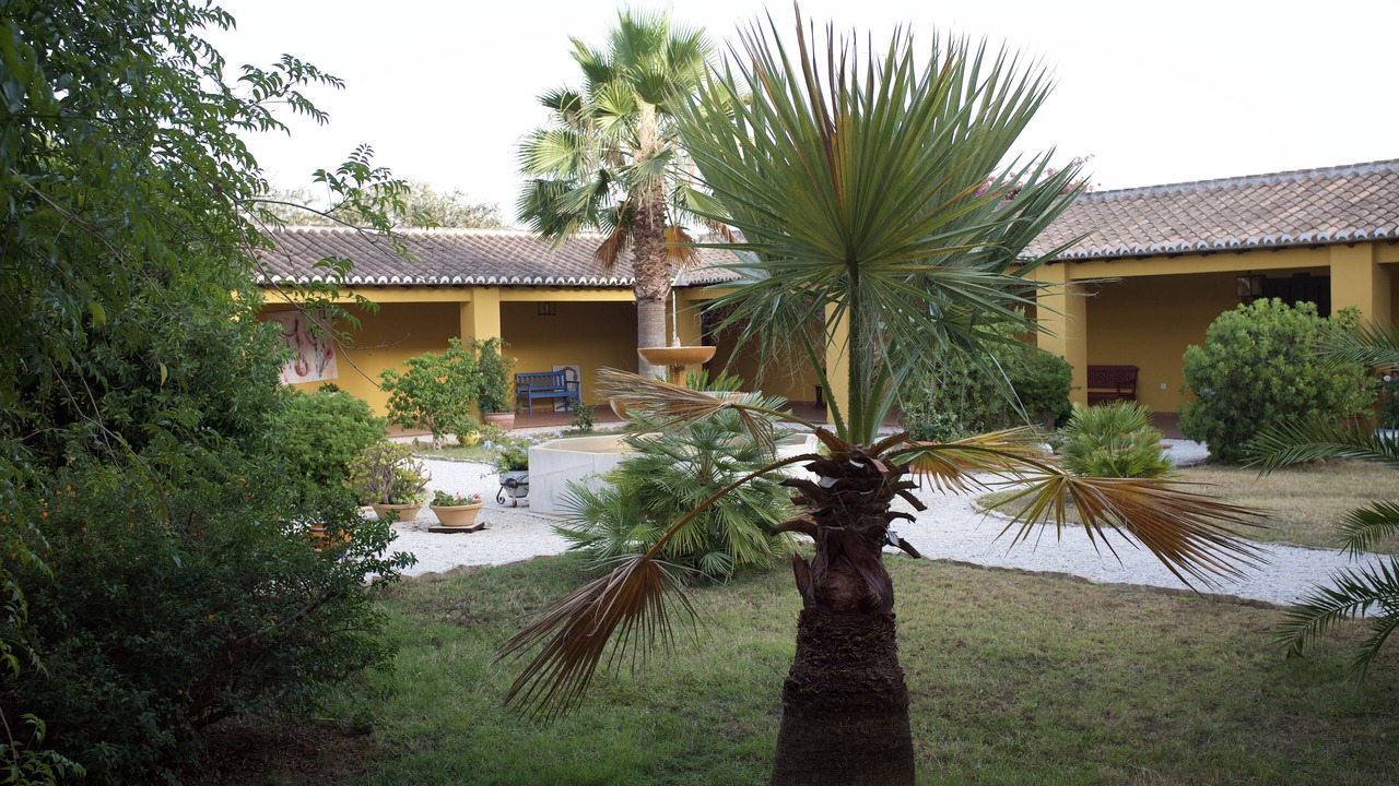 Photo of Outdoor in Almogia
