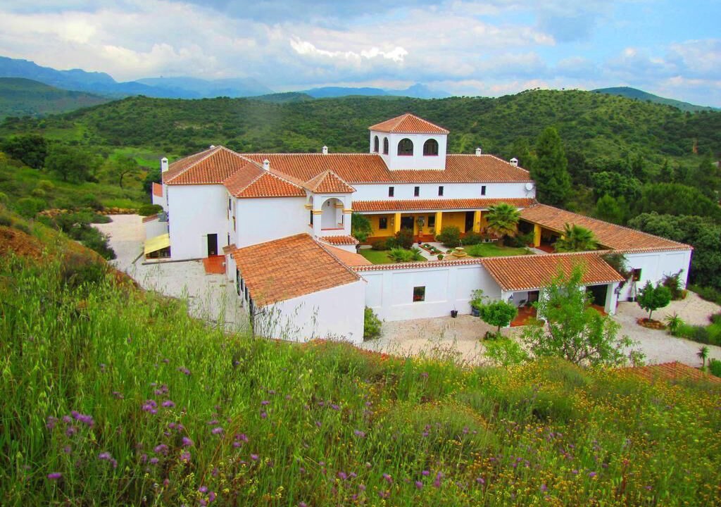 Photo of Outdoor in Almogia
