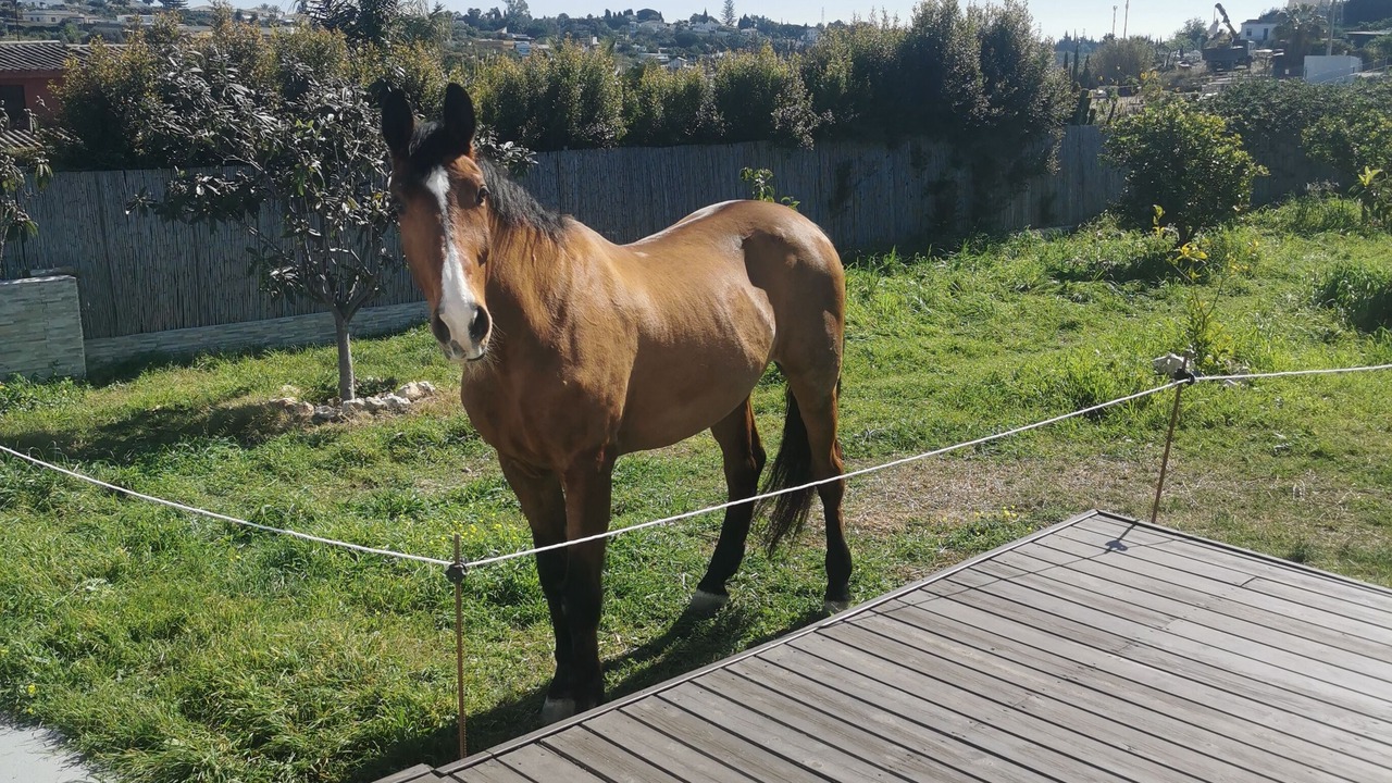 Photo of Outdoor in New Golden Mile