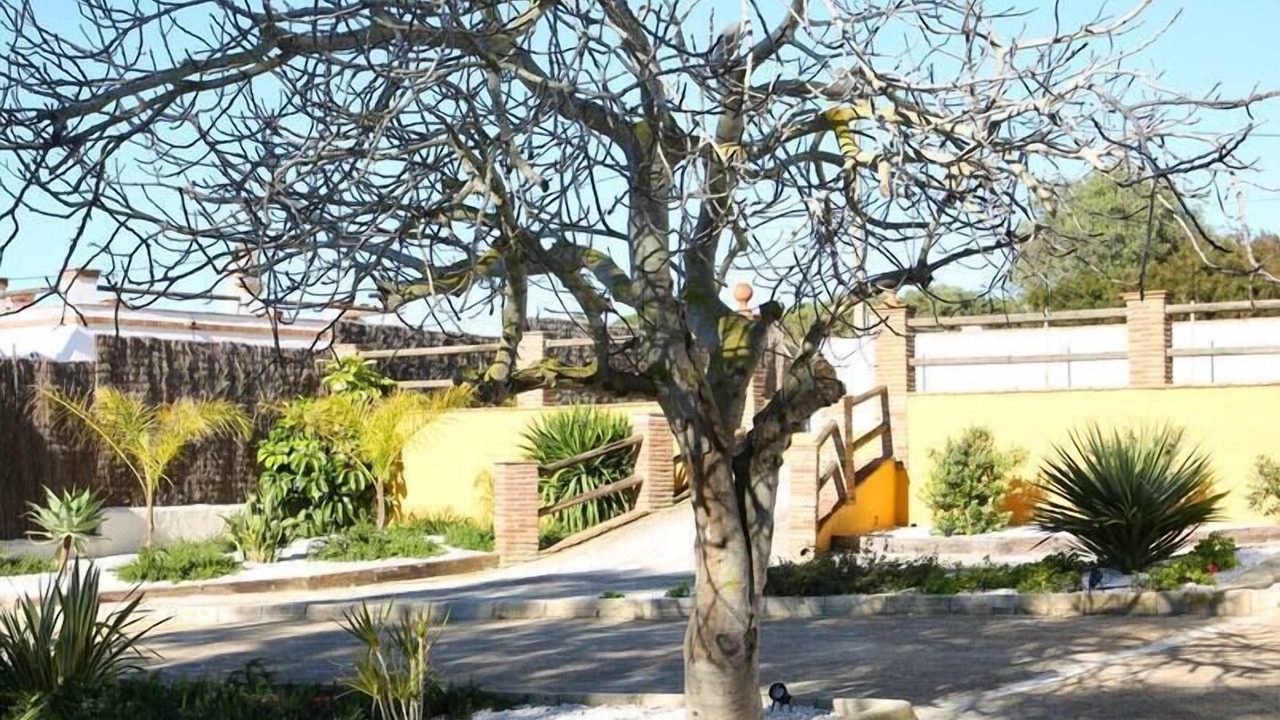 Photo of Outdoor in San Ambrosio