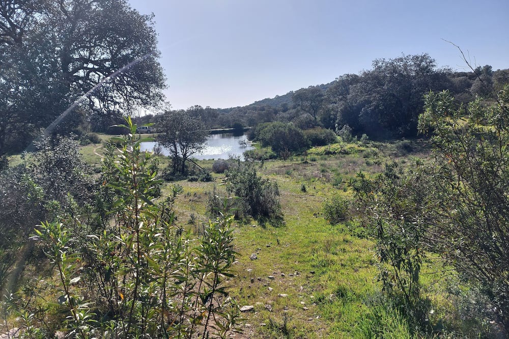 Photo of Outdoor in La Puebla de los Infantes