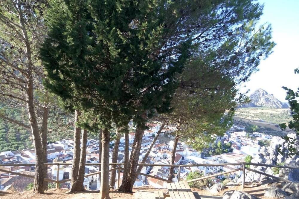 Photo of Outdoor in Benaojan