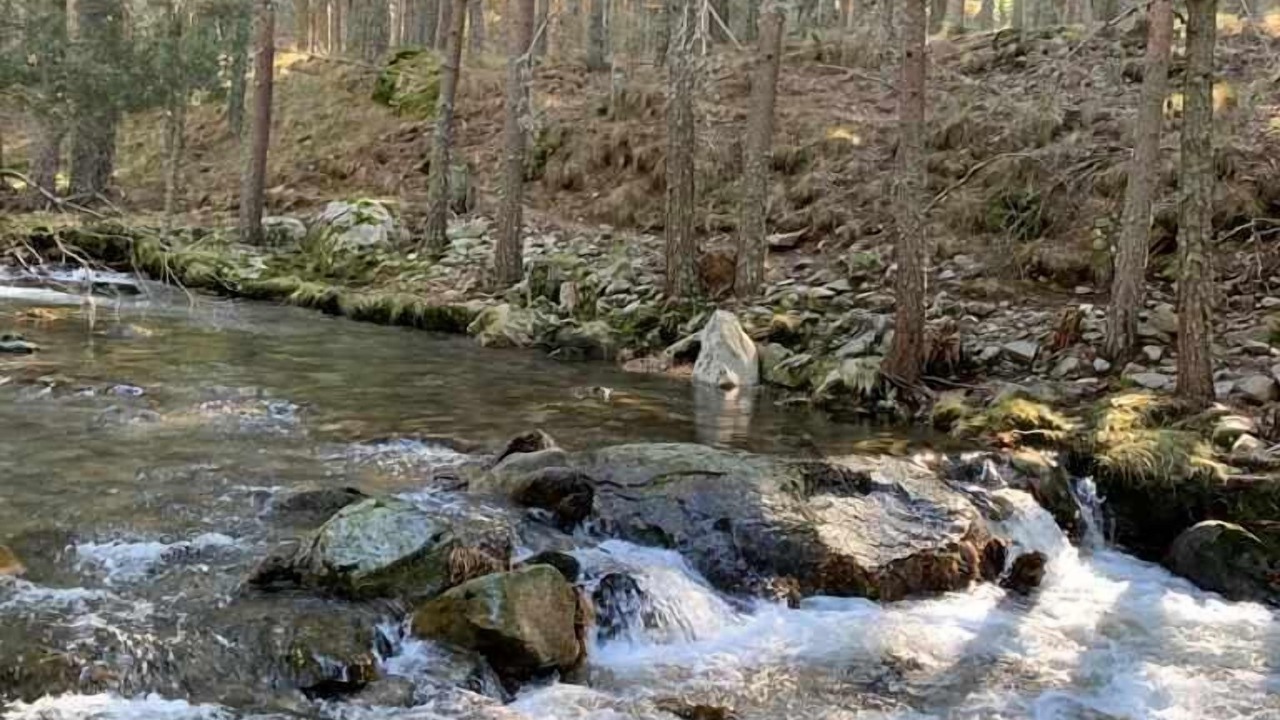 Photo of Others in Navarredonda de Gredos