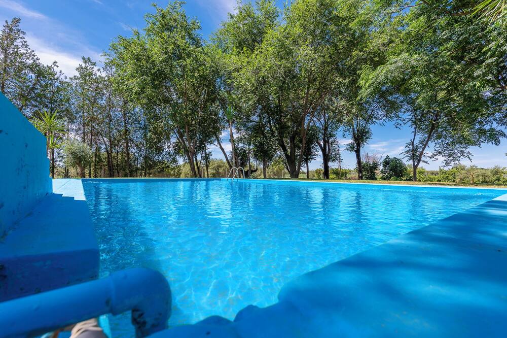 Photo of Outdoor in Marchena