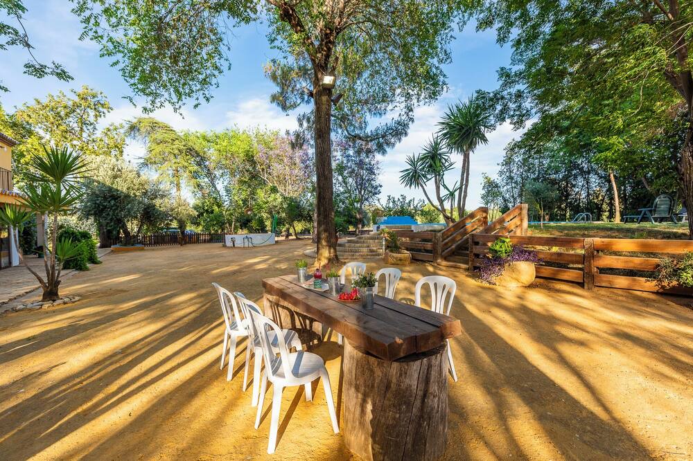Photo of Outdoor in Marchena