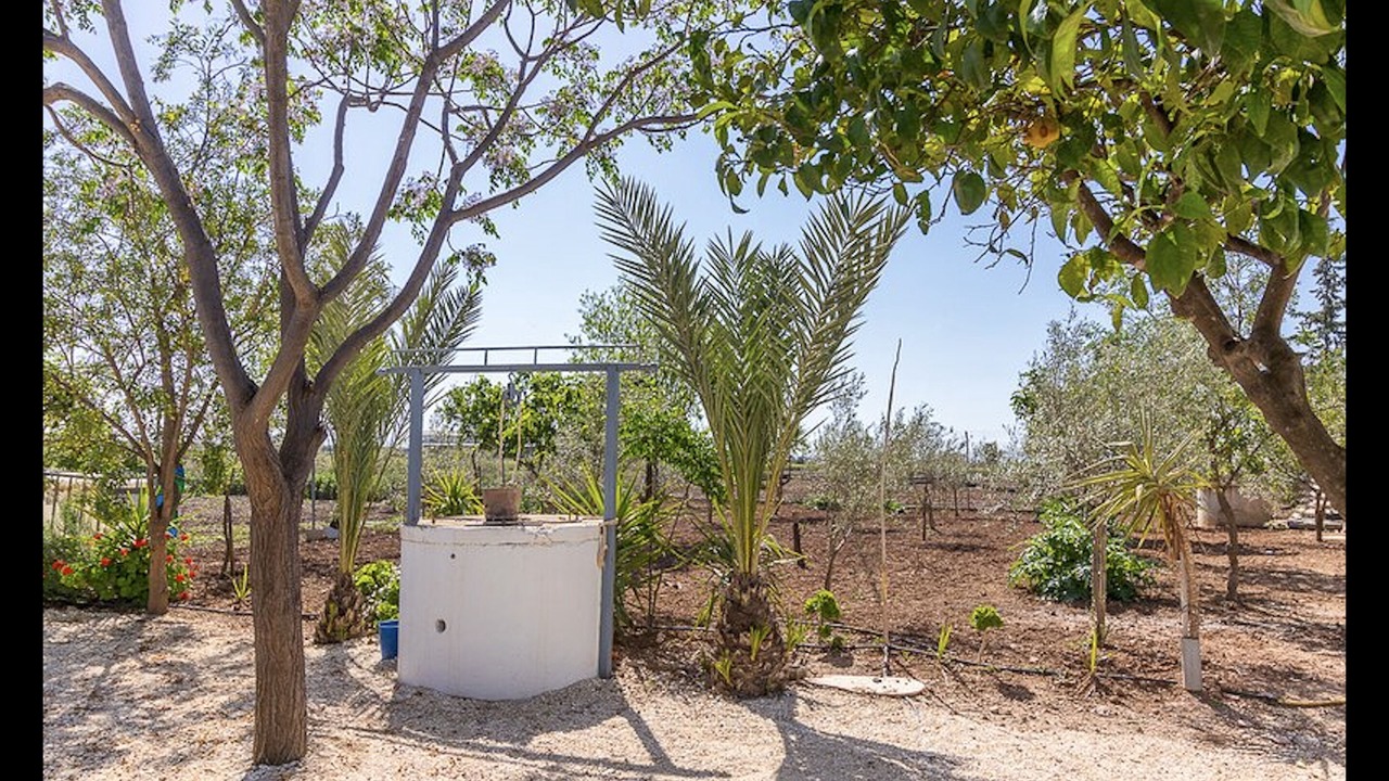 Photo of Outdoor in La Lantejuela