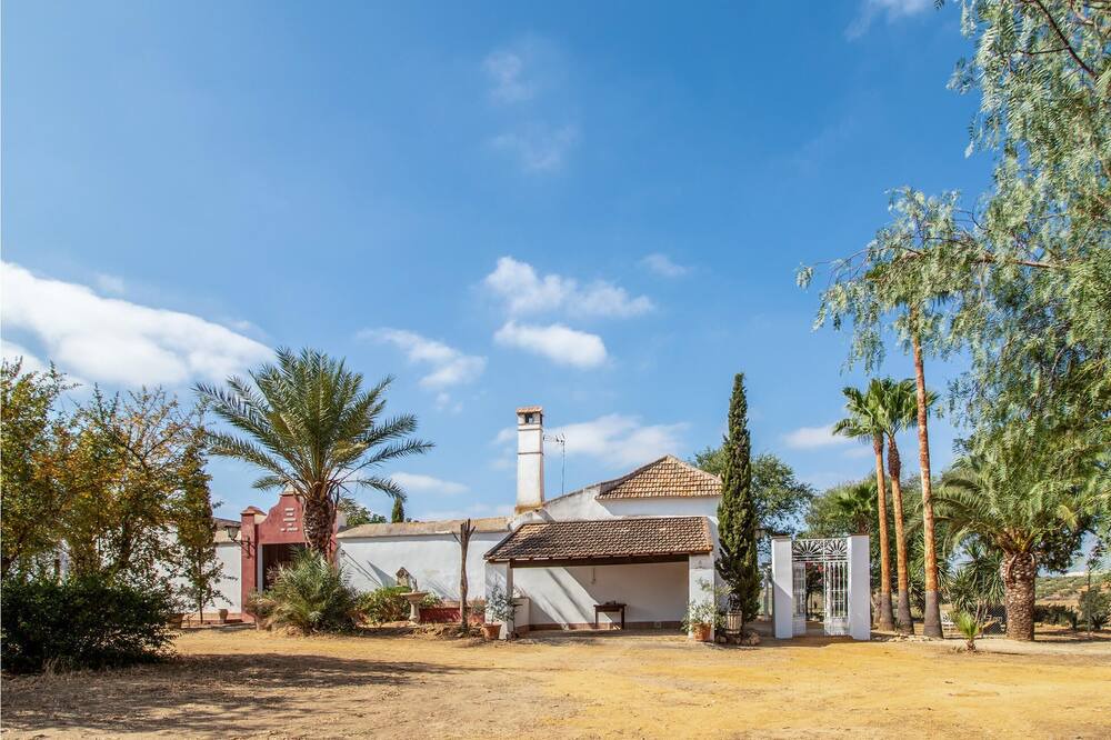 Photo of Outdoor in La Campana