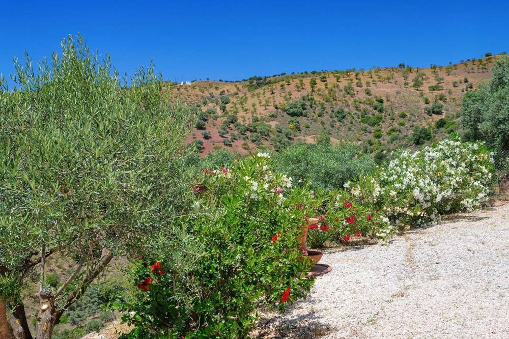 Photo of Outdoor in Almogia