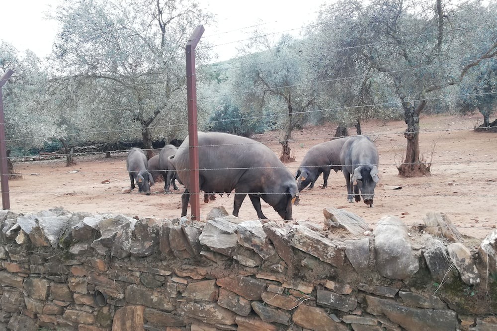 Photo of Outdoor in Valdezufre