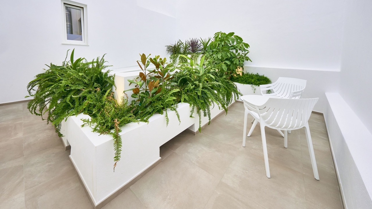 Photo of Bedroom in Conil de la Frontera City Center